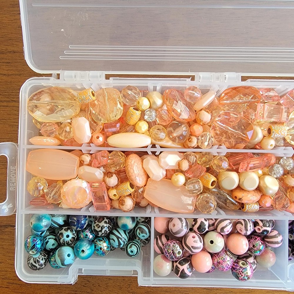 Assorted Bead Collection in Organizer Box (SR220)
