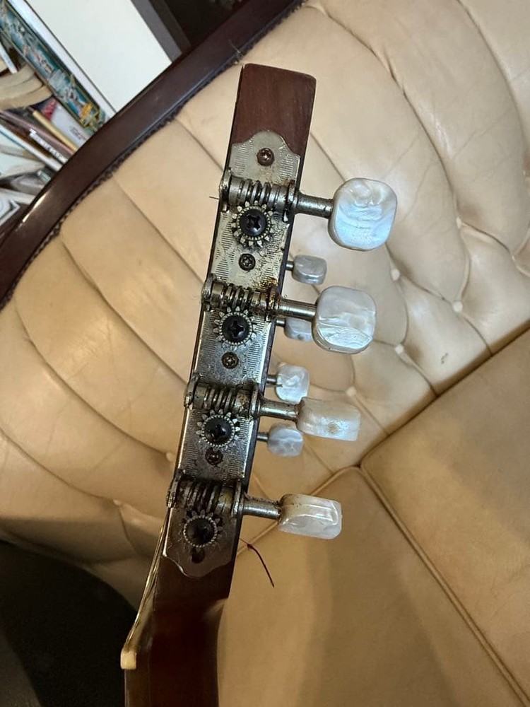 78: Mandolin Spruce body 8 strings