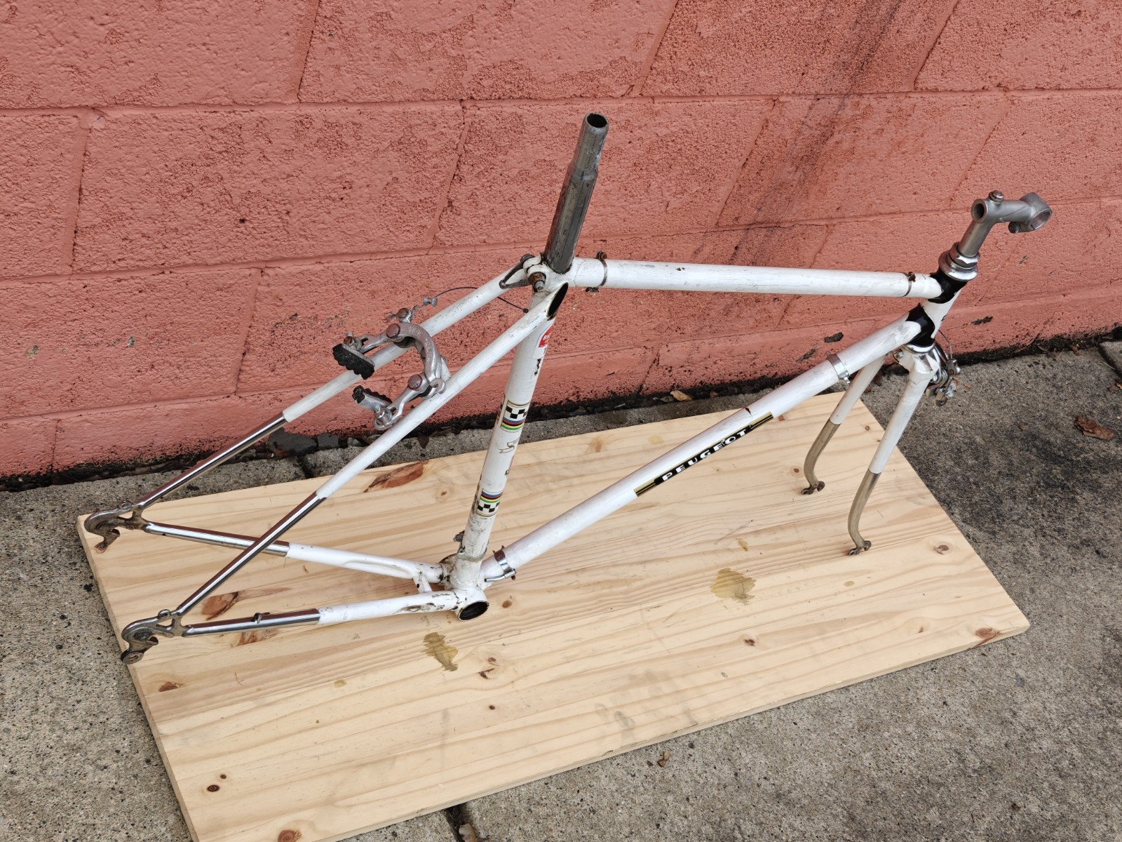 Peugeot PX-10 Vintage Bicycle Frame / Partial Bicycle 54/55cm