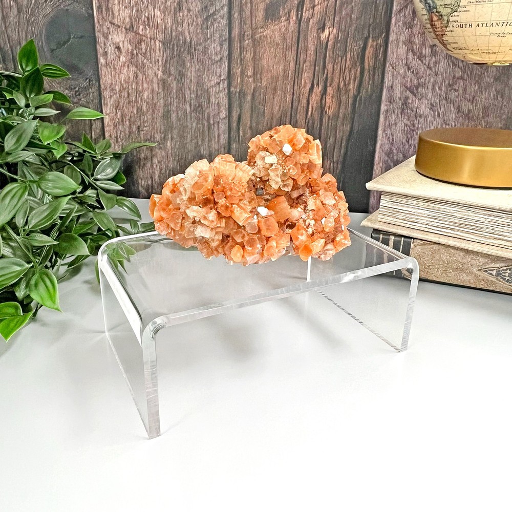 Plymor Clear Acrylic Rectangular Display Riser, 2" H x 5" W x 3" D (1/8" thick)
