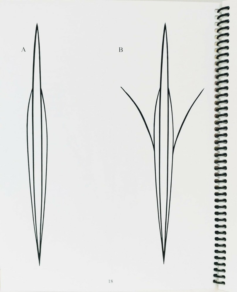 THE BOOK ON FREEHAND PINSTRIPING BY WATSON