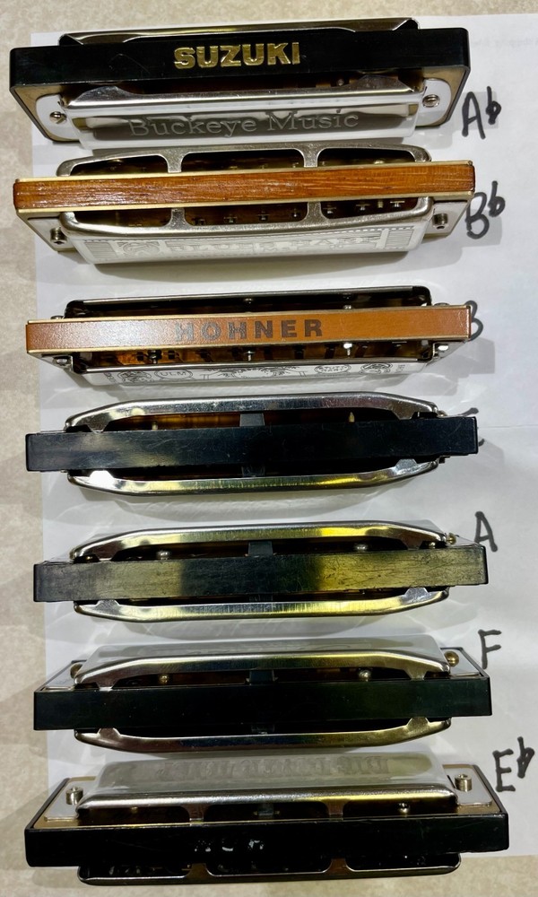 Harmonica Hohner Paddy Richter tuned, various keys