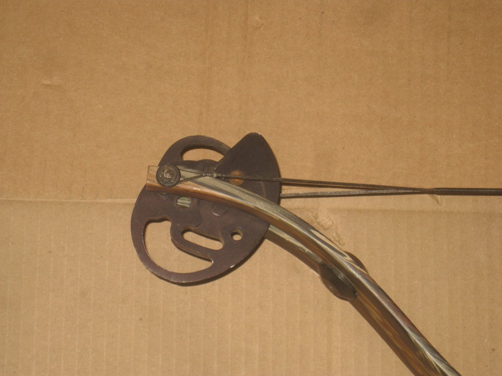 Golden Eagle Evolution Compound Bow