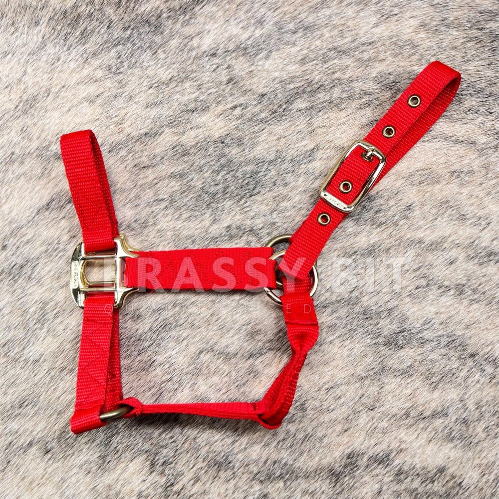 Eagle Small Pony Halter