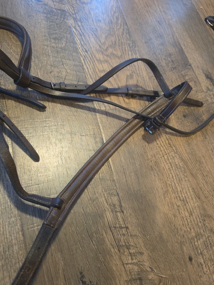 fancy stitched Headstall