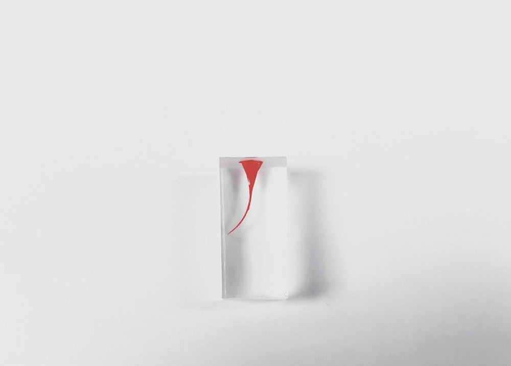 Dental Module Model Pulp Practise Root Canal Dentist Study Endo Training Tubes