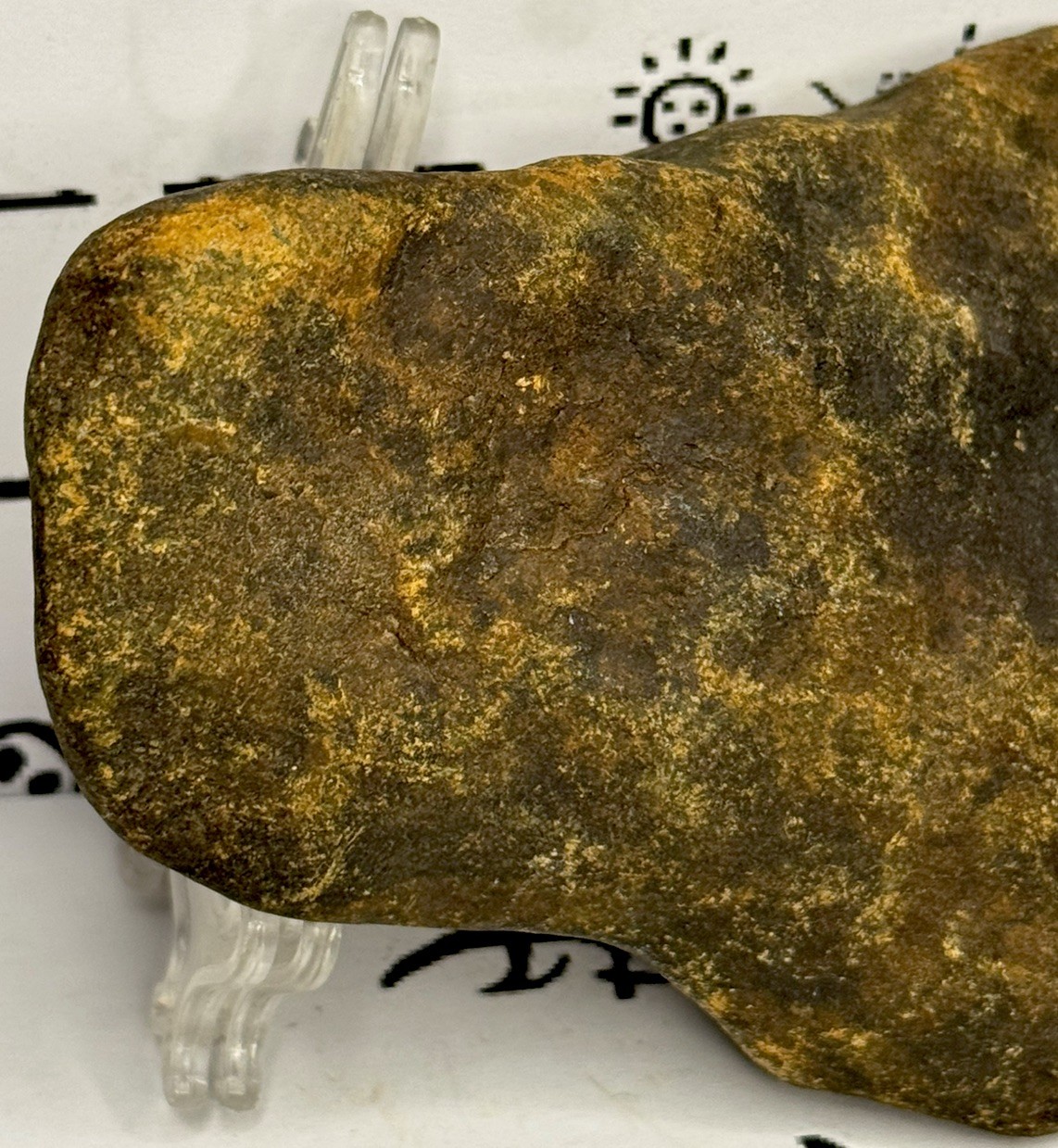 Native American Indian Authentic Artifact Stone Carved Effigy, 13.3 oz • VA