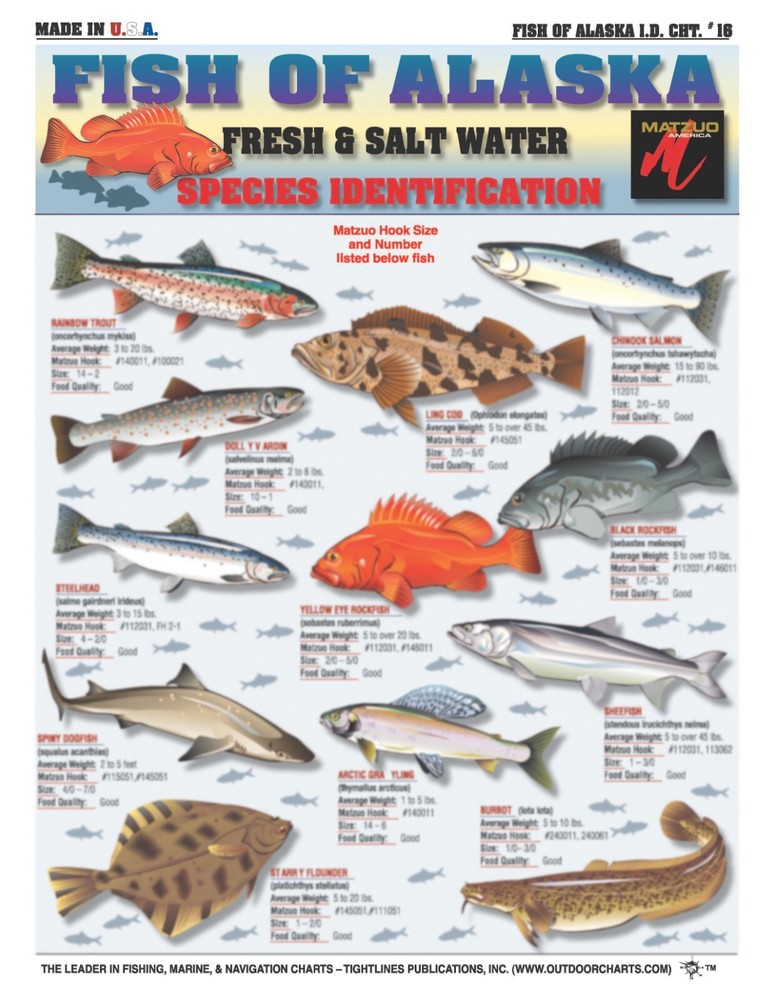 Fish Of Alaska Identification #16 - Waterproof Reference Guide