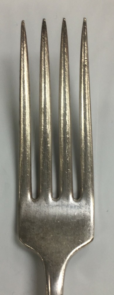 Oneida Community White Orchid Silver-Plated Dinner Fork 7 11/16"