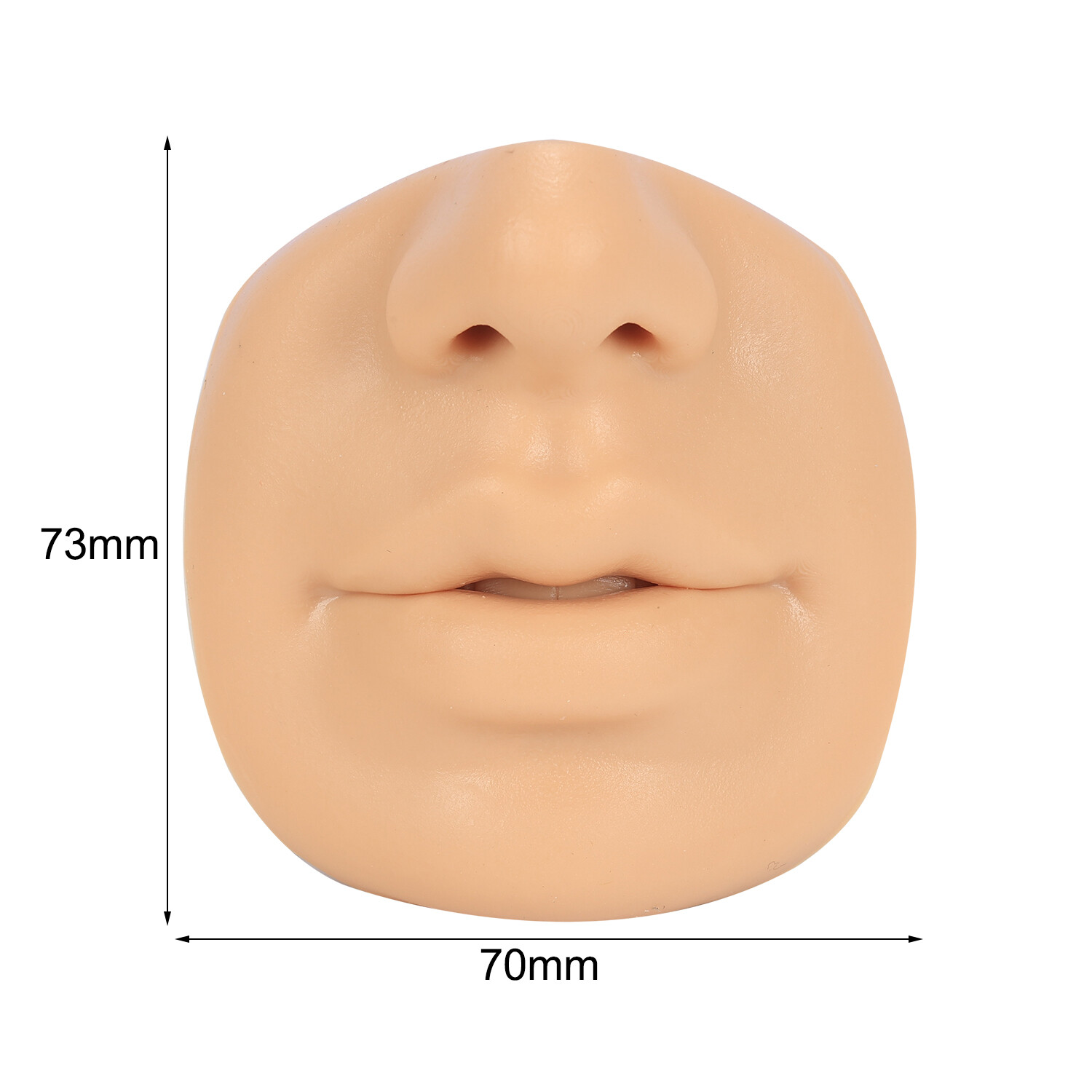 Silicone Ear Model with Acrylic Display Stand Body Parts Practice Piercing Tools