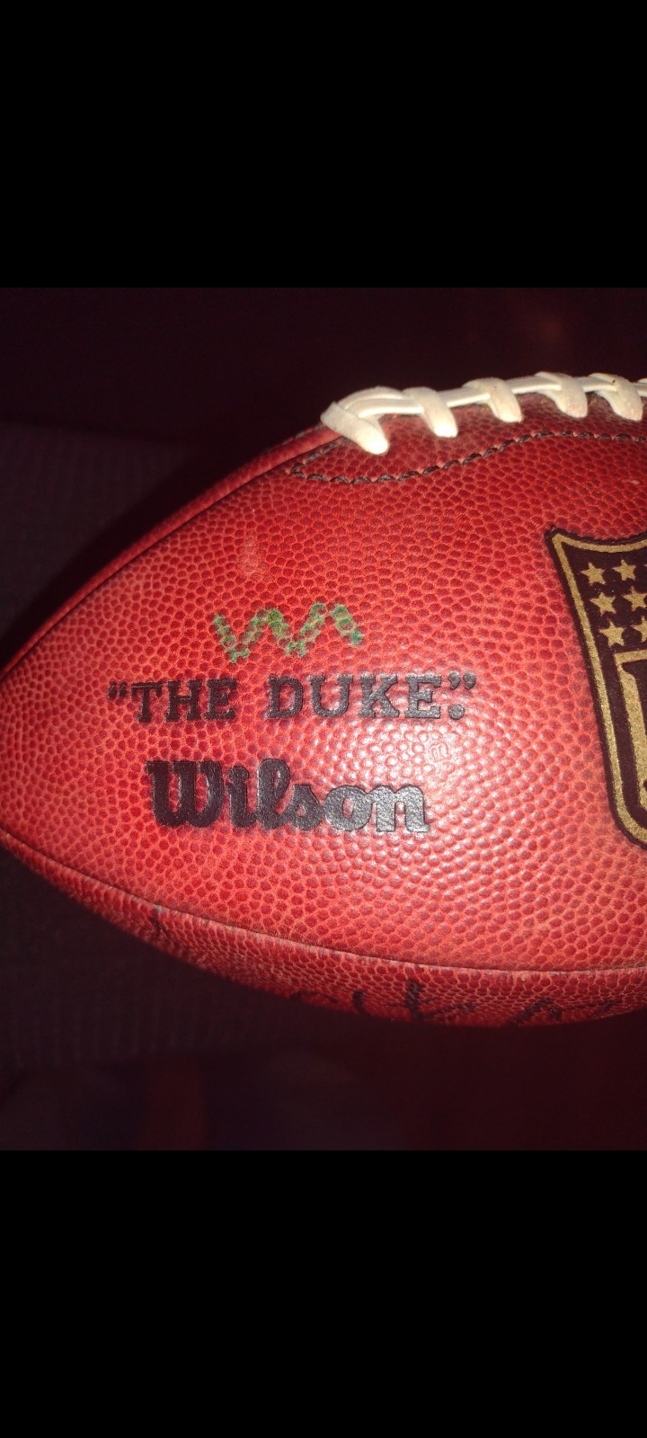 Chicago Bears Game issued Team Used Football signed by BRIGGS BENSON ALSHON etc