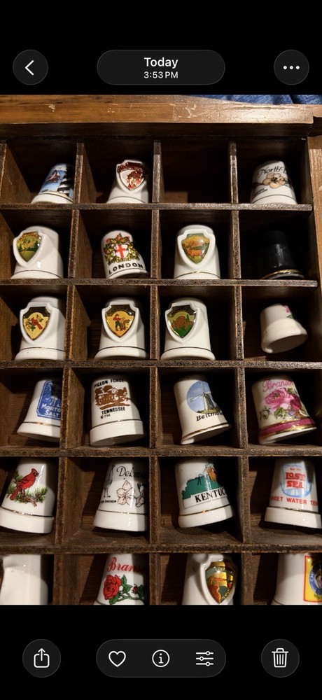Thimble Collection with Case Large. 84 In Total