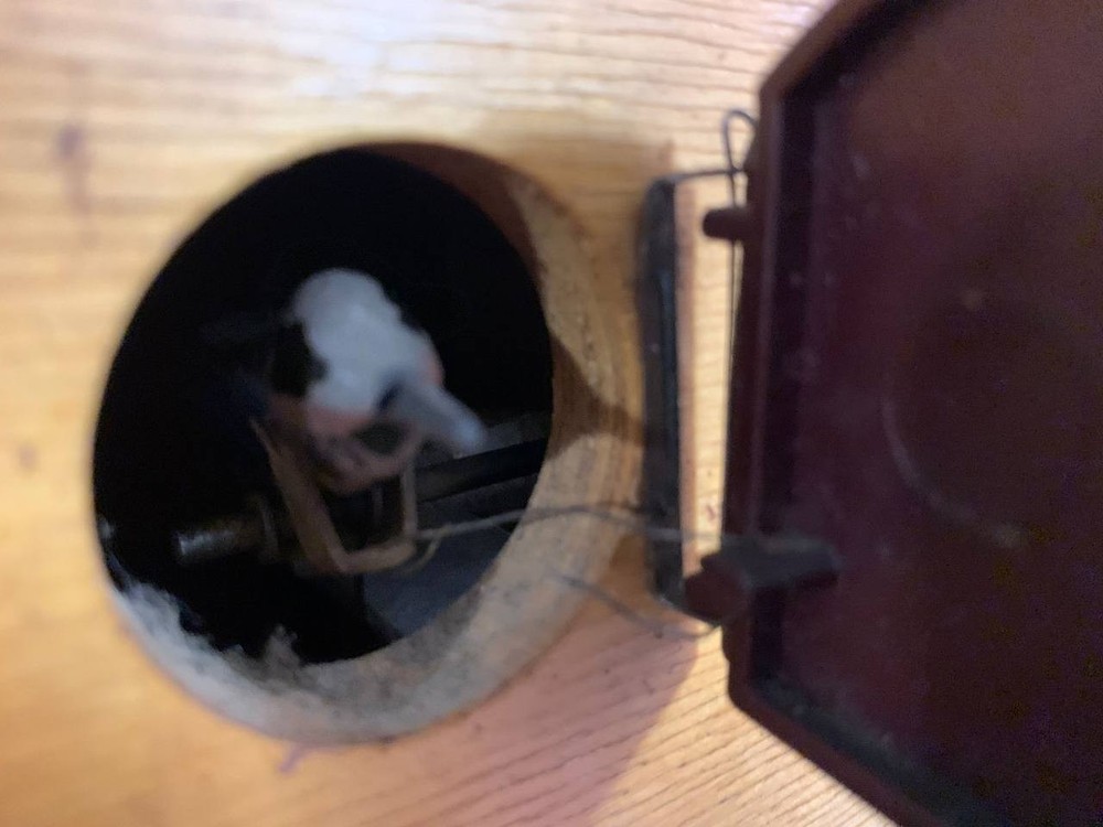 Soviet Vintage Cuckoo clock, USSR clock, Soviet working clock, Working cuckoo