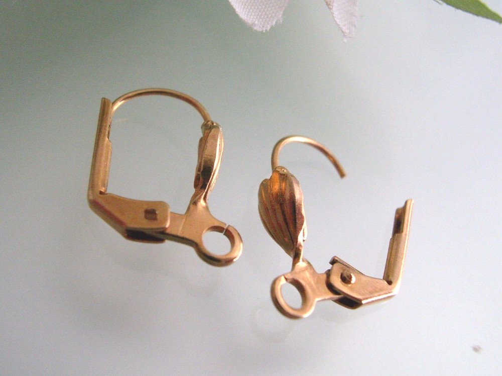 2 pairs Gold plated Leverback earrings setting with Shell design / open rings