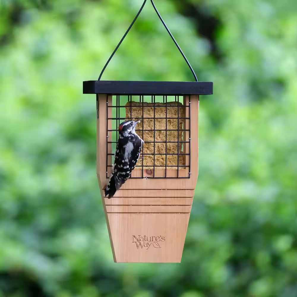 Cedar Tail Prop Suet Feeder 1 Cake