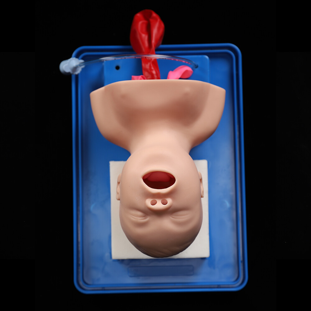Intubation Manikin Study Baby Infant Teaching Airway Management Trainer Model