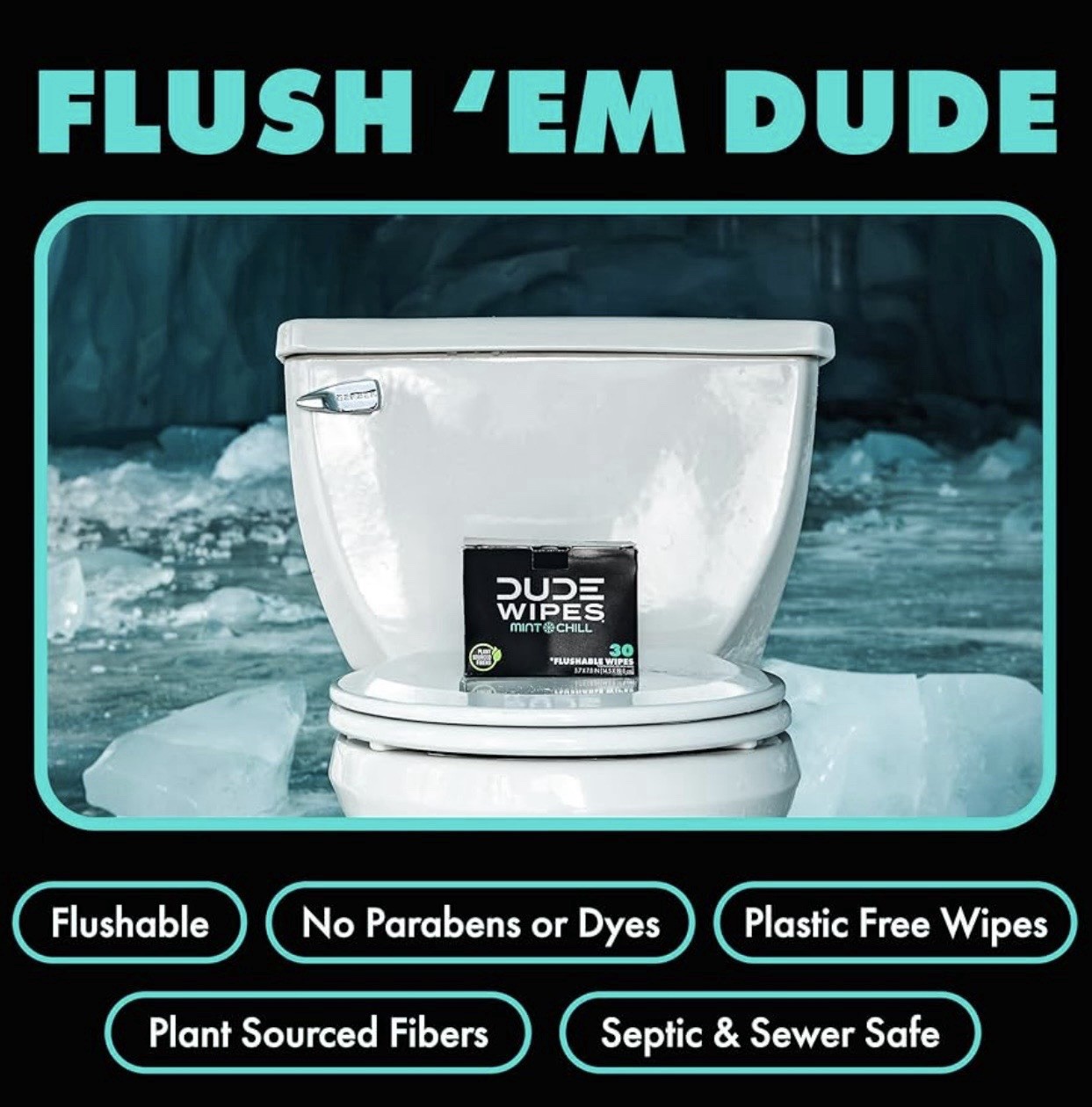 DUDE Wipes - On-The-Go Flushable Wipes - 1 Pack, 30 Wipes - Mint Chill Extra-Lar
