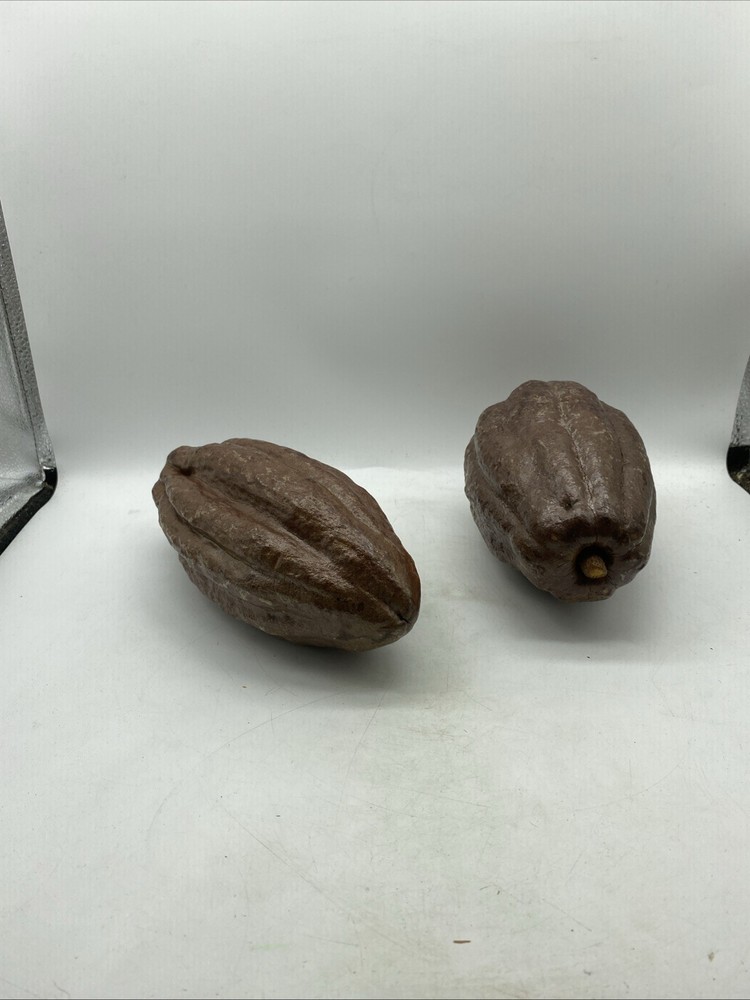 Authentic Cacao Shells From A Senior Hershey Executives Office/Collection 13