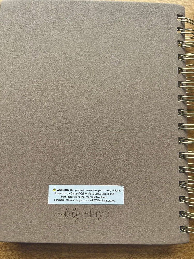 Punch Studio Guided Journal Undated Self Care Daily Reflection