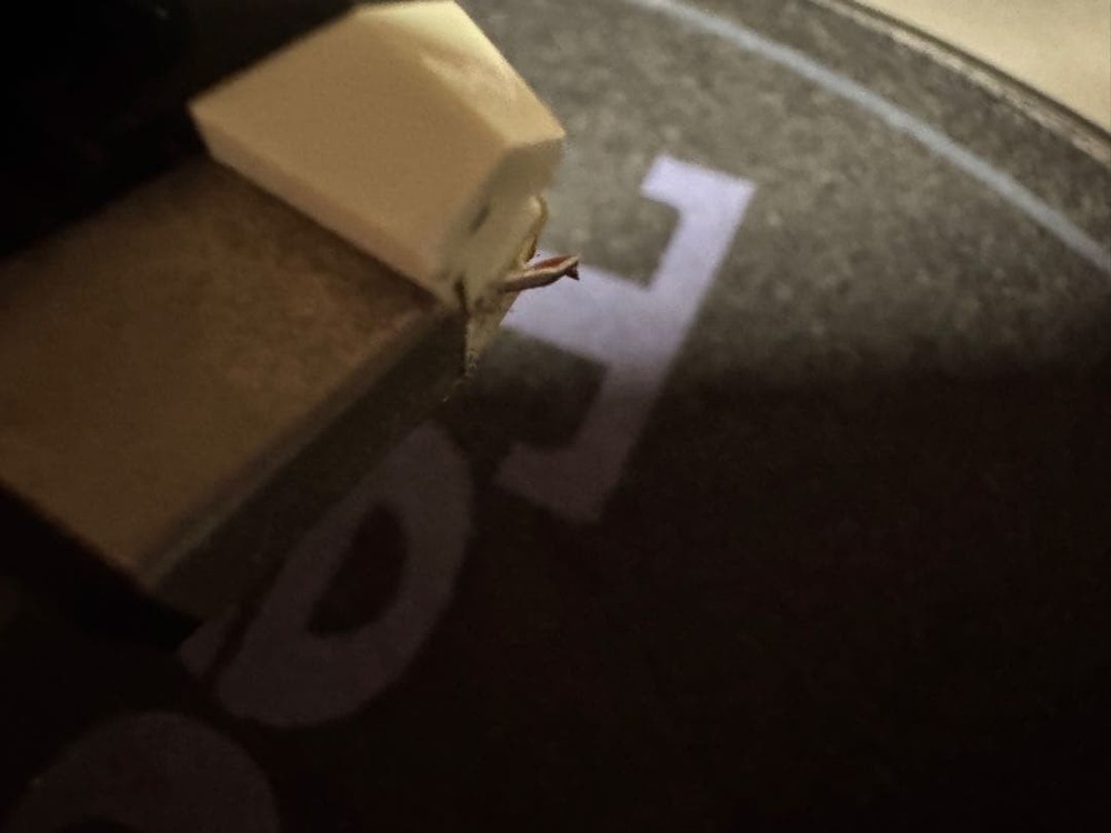 Technics EPC-U1200 Stylus and Headshell (Set of 2)