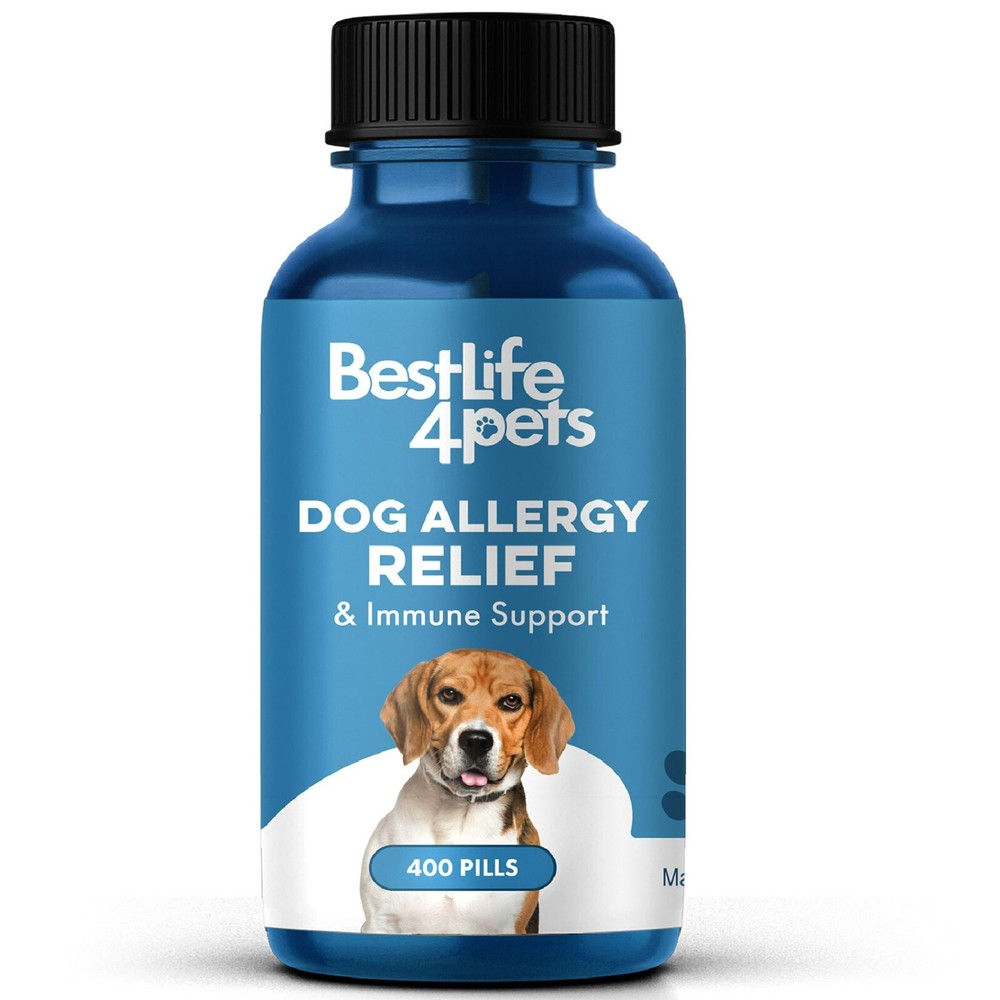 Dog Allergy & Immune Support Supplement Success