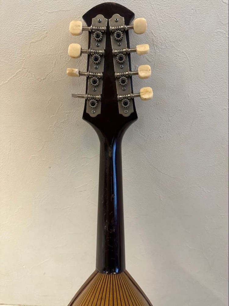 Suzuki Violin Mandolin No.225