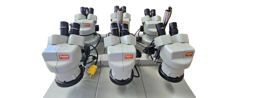 stereo microscope used CARTON NSW 3X 10X