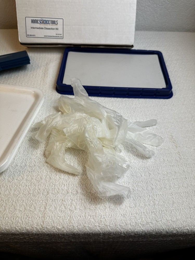 Home Science Intermediate Dissection Kit Homeschool