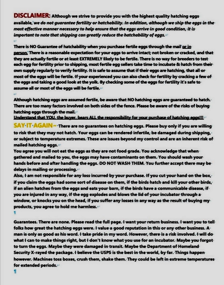 Isabella Brahma Hatching Eggs 6 Eggs