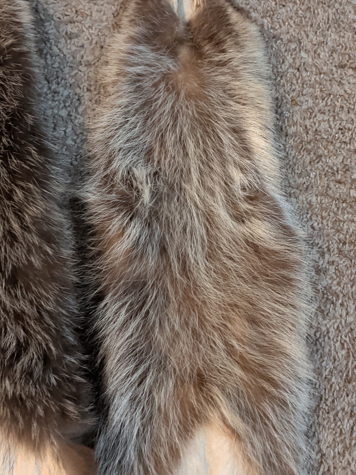 Newly Tanned Wild Large Racoon pelts~Country Fur Cabin Craft Fur~NICE! Soft!!