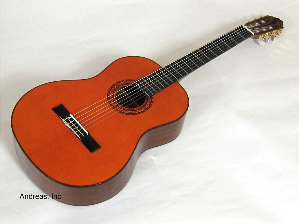 Washburn Classical Nylon String Acoustic Guitar - Spruce Top