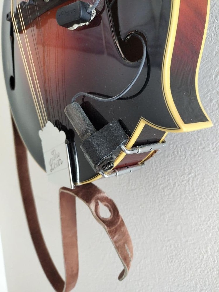 The Loar flat mandolin