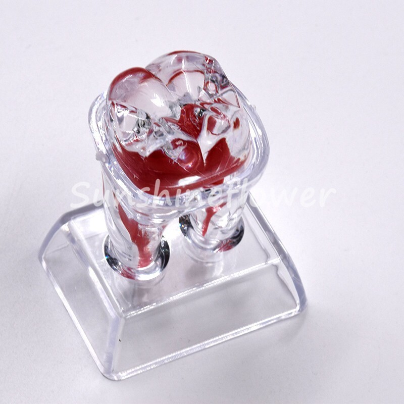 2X Dental Crystal Base Teeth Model Hard Plastic Teaching Demonstration Separable