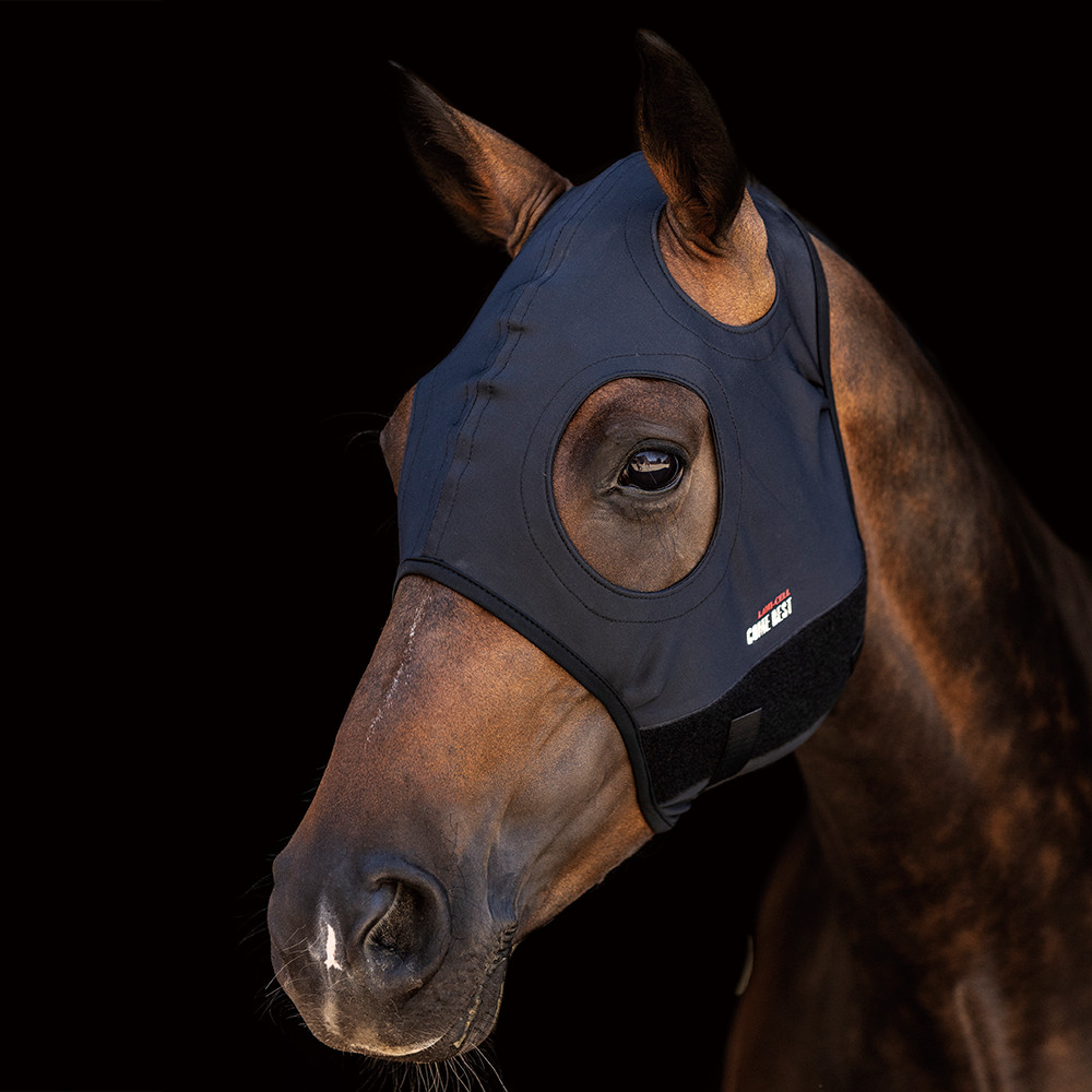 Titanium Mask LIKE BEST No Ears