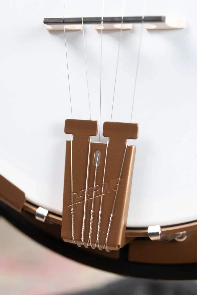 Deering Goodtime Two 5-String with Resonator Banjo