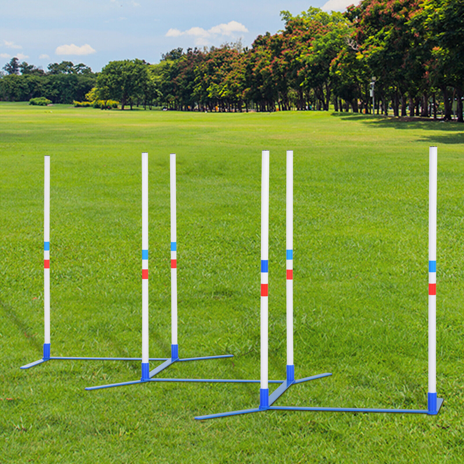 Dog Weave Pole Set Agility Starter Kit Pet Outdoor Exercise Training Set