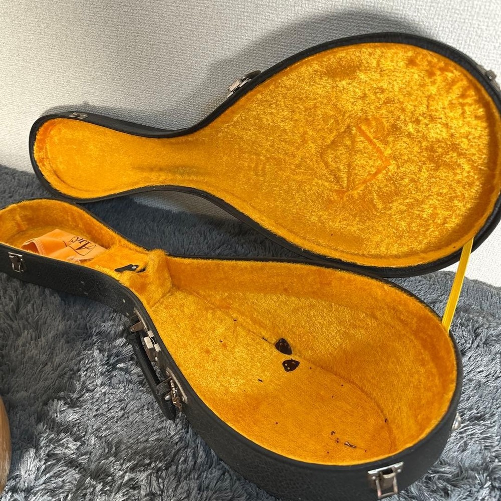 Misuzu Mandolin String Instrument Hard Case Supervised by Minoru Noguchi Luxury
