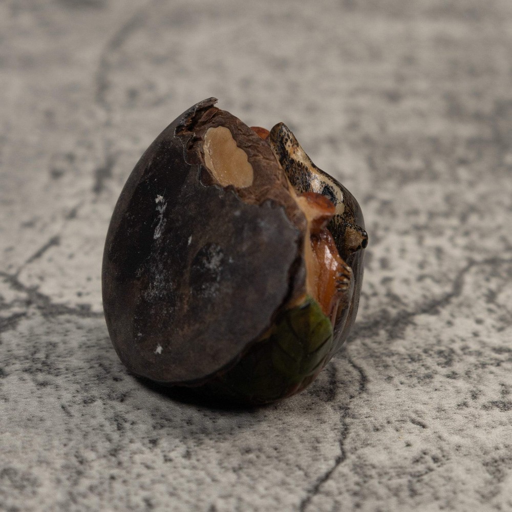 Rainforest Coatimundi Tagua Carving