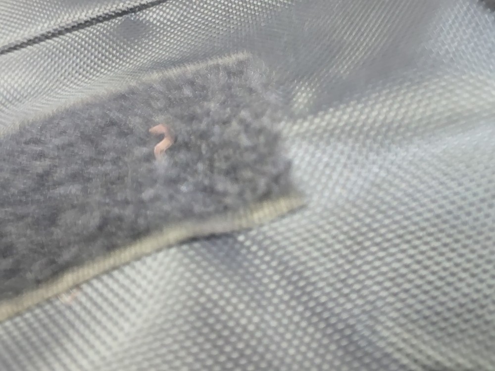 Native Instruments Komplete Kontrol A25 25-Key Keyboard Controller W Carring Bag