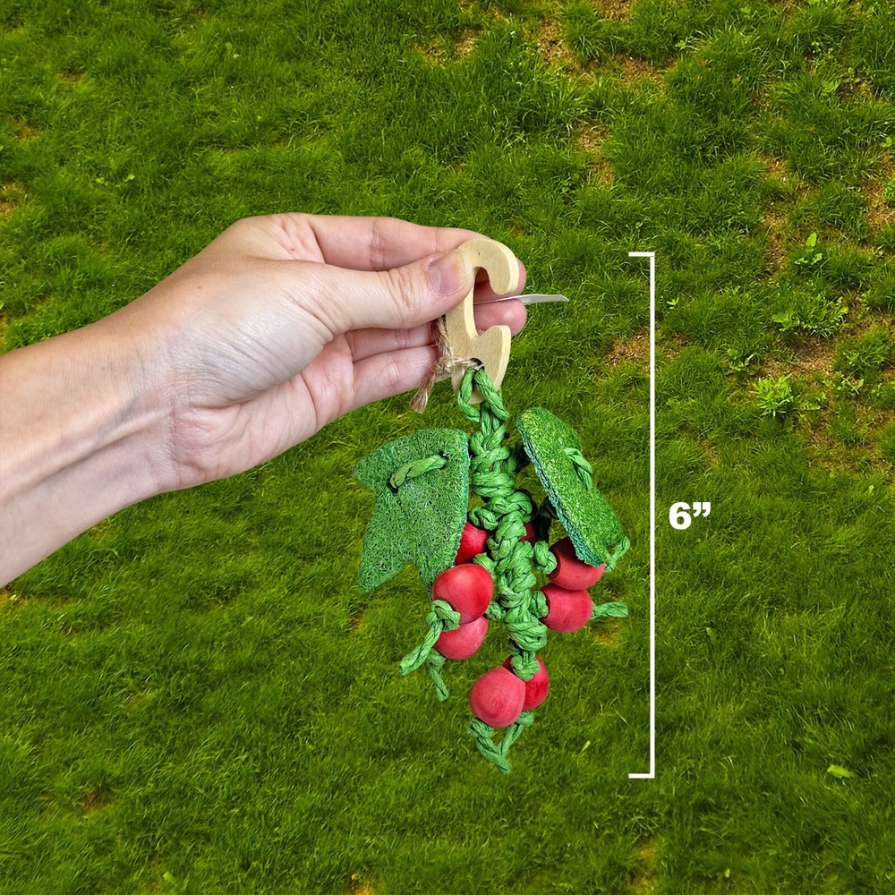 Cage Enhancement Set (Premium) - Interactive Climbing Foraging Accessory
