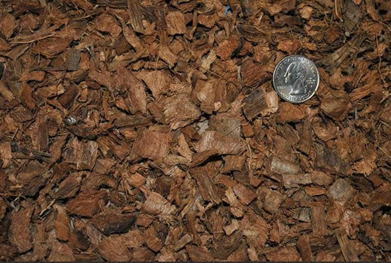 Prococo COCO CHIP - Single block Coco Husk | Organic Coir - Reptile Plants soil