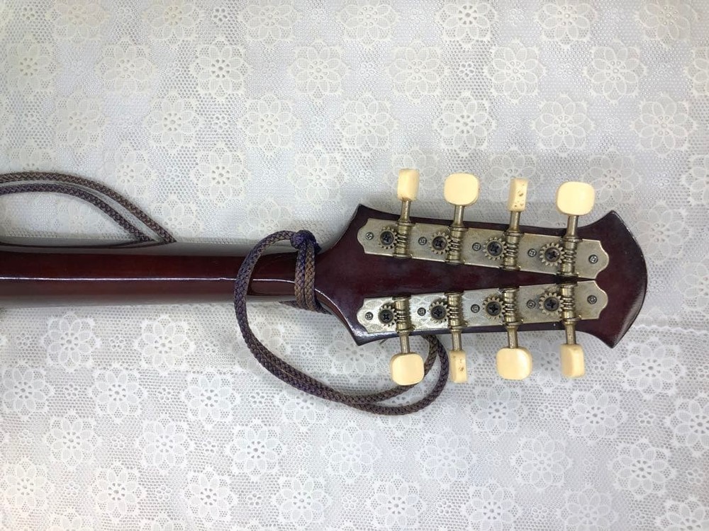 Mandolin SUZUKI226 8 string with case