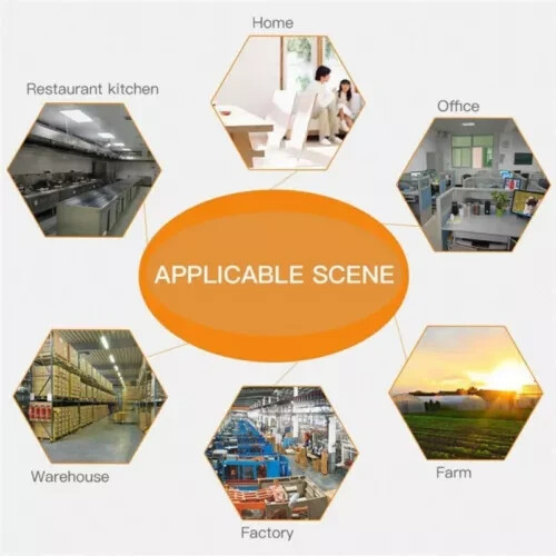 3 Pack Large Mice Mouse Glue Traps Rodent Catcher Rat Board Indoor Super Sticky