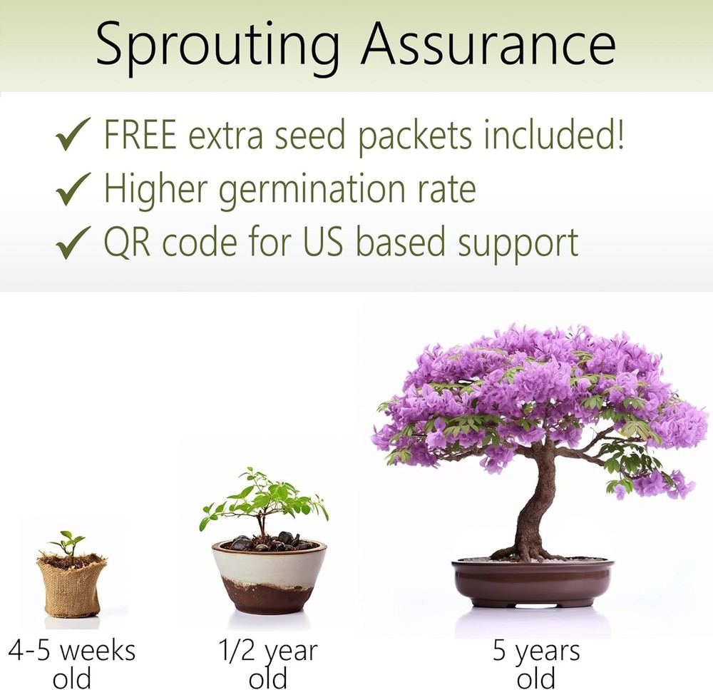 Bonsai Starter Kit – Growing Jacaranda Bonzai Tree | Complete Indoor Tree Kit