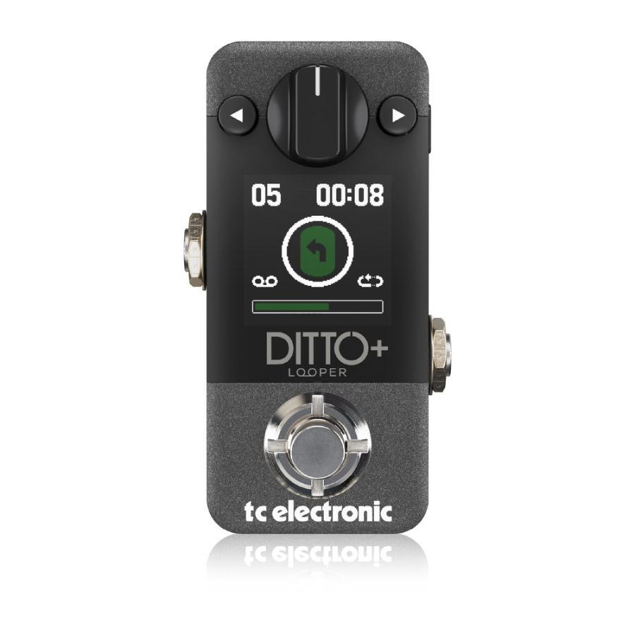 tc electronic DITTO+ LOOPER looper guitar effector