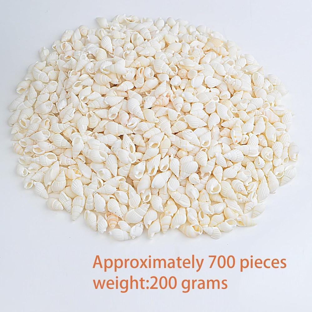 Approx 700Pcs Small White Clam Cay Seashells Natural Tiny Sea Shell Mini Spir...