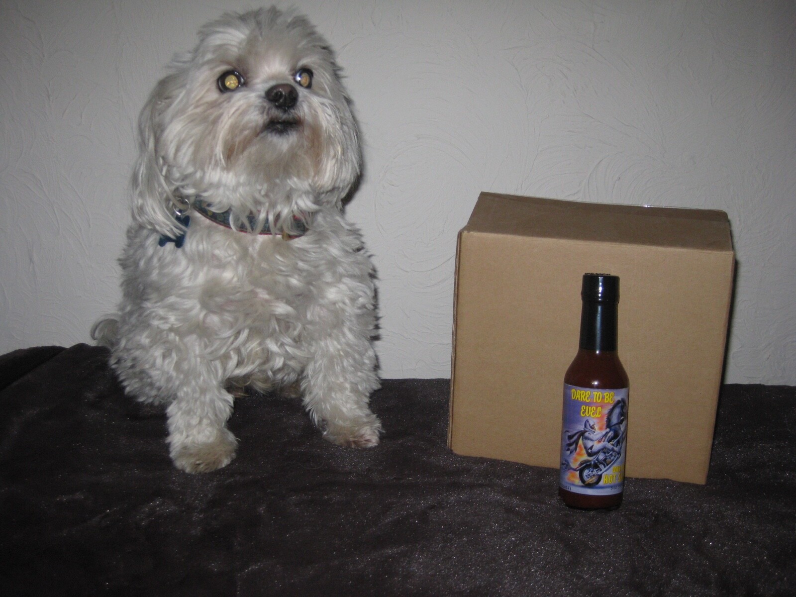 Evel Knievel COLLECTIBLE Hot Sauce-$15.99 Limited # made- 5000- we own it all!