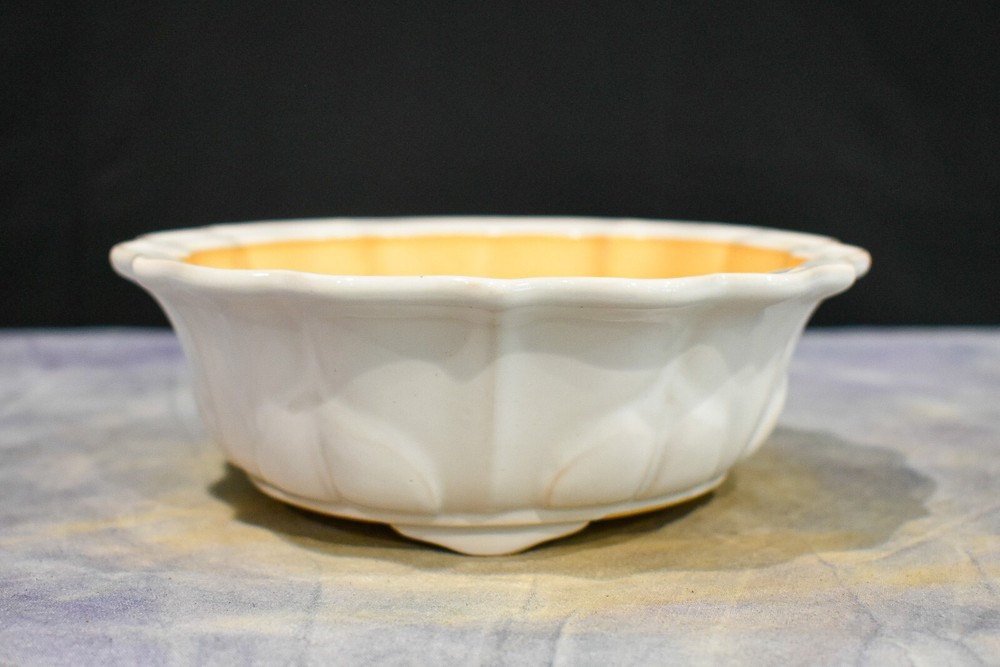 High Quality Chinese Bonsai Pot - 5 3/4"