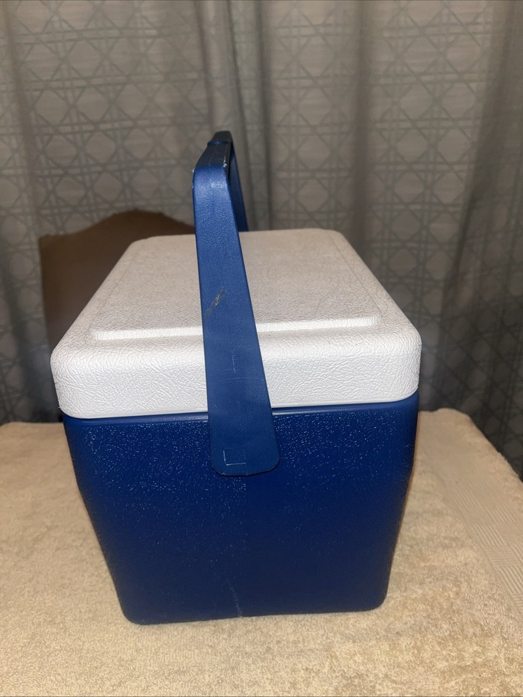 Sony Mega Watchman Igloo Cooler