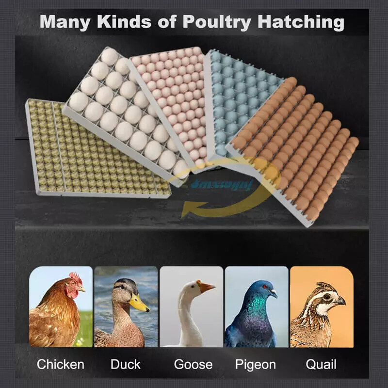 Automatic Hatching Machine Chicken Duck Goose Pigeon egg incubator